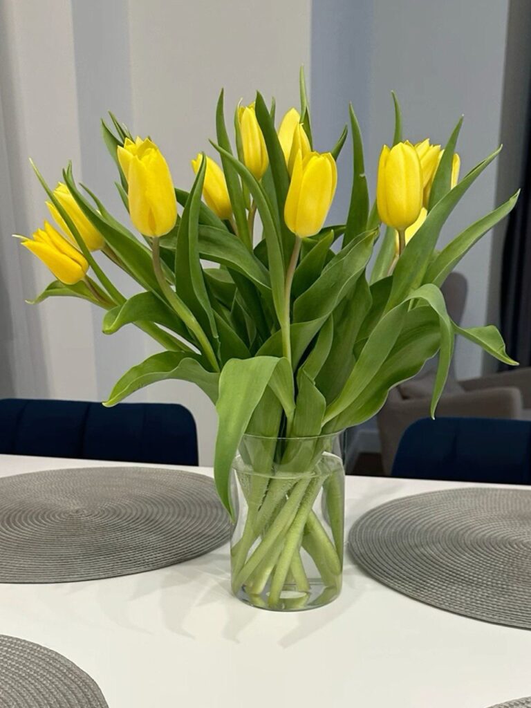 Букет из 25 желтых тюльпанов Букет из 25 желтых тюльпанов