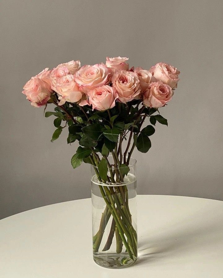 Букет из 15 розовых роз из Эквадора (60 см) Букет из 15 розовых роз из Эквадора (60 см)