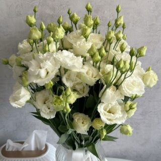 Роскошный белый букет из 19 эустом (лизиантусов)