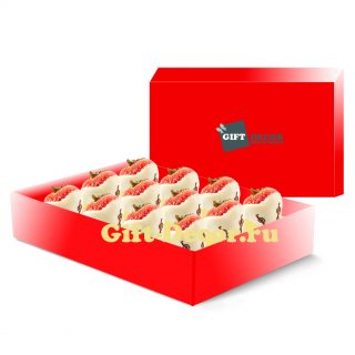 11YAG-box