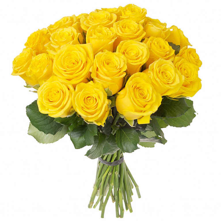 Букет из 15 желтых роз Пени Лейн 60 см — солнечные розы из России | Gift-Decor Букет из 15 желтых роз Пени Лейн 60 см — солнечные розы из России | Gift-Decor