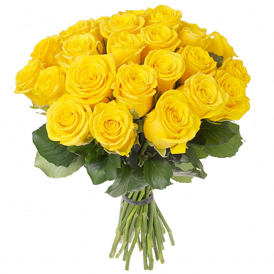 Букет из 15 желтых роз Пени Лейн (Россия) 60 см — купить | Gift-Decor