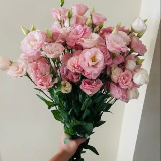 Букет из розовых эустом (лизиантусов) — 19 штук | Gift-Decor