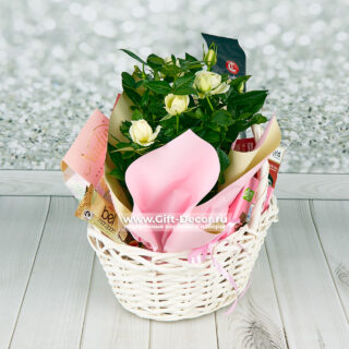 Подарочная корзина Завтрак Сальвадора Дали с фуа-гра, хамоном, сырами и живой розой в горшке в прозрачной упаковке с бантом.