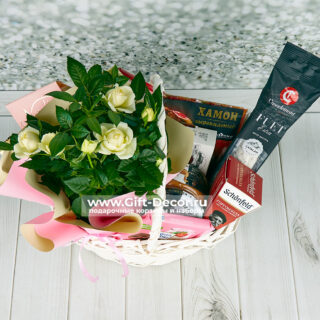 Подарочная корзина Завтрак Сальвадора Дали с фуа-гра, хамоном, сырами и живой розой в горшке в прозрачной упаковке с бантом.